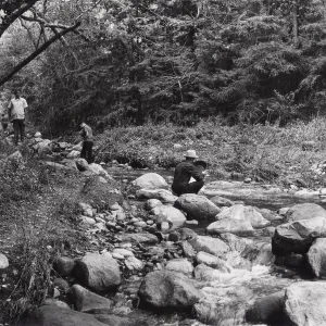 Panning for gold in Mission Creek, near redwoods