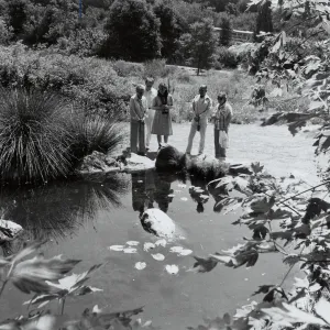 Botanic Garden Docent Dorothea Fox (far left) gives visitors a look at pond life in the summer season