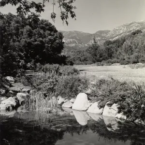 Pond, SBBG