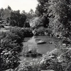 Botanic Garden Pond