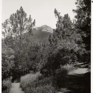 Porter Trail, 1959