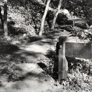 Southerly approach to Pritchett Trail, 1948