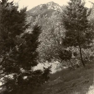 Woodland Trail, SBBG