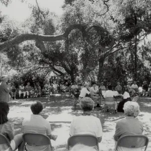Music Academy of the West, Concert Under the Oaks