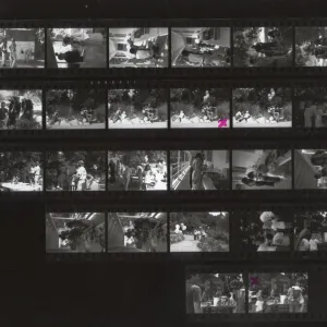 Proof Sheet, Spring Celebration 1987