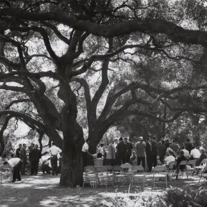 event under the oaks, SBBG