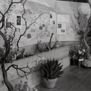 Exhibit: Treasures of the Flora