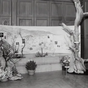 Exhibit: Treasures of the Flora