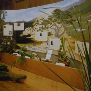 Exhibit: Treasures of the Flora