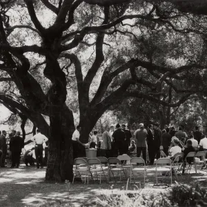 SBBG Symposium on the Biology of the Channel Islands, October 1965
