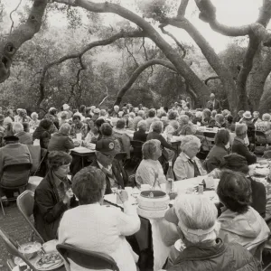 Members Day 1984, under the oaks