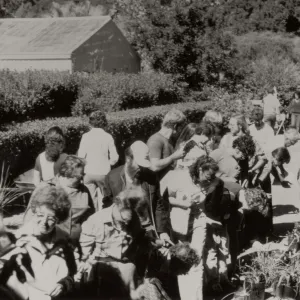 SBBG Courtyard set up for annual plant sale of native California plants 1983