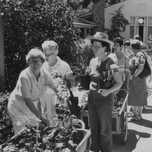 Plant Sale