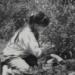Children's Garden, Children Gardening