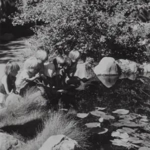 Children in the Garden, Pond