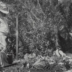 Children in the Garden, Children's Garden