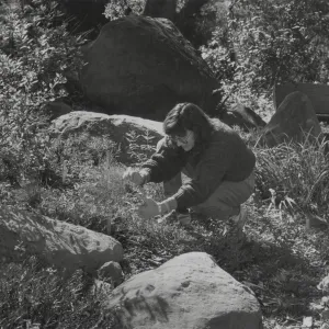 Carol Bornstein, Plant Propagator