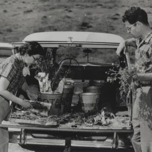 Clifton Smith and June Hopkins collecting specimens