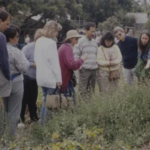 Docent Tour at Wildflower Day 1993