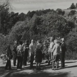 Docent tour in the Garden