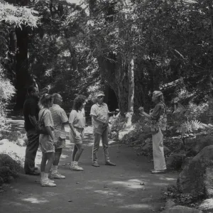 Docent tour in the Redwood Section