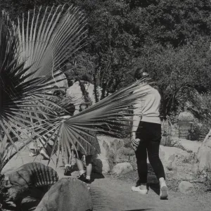 visitors in the Garden