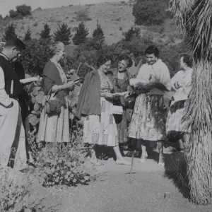 SBBG Trees class 1955