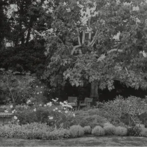 garden of Henry Greene residence in Pasadena