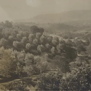 Mission Canyon Postcard from M.C. Richter