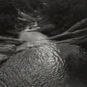 Mission Canyon stream