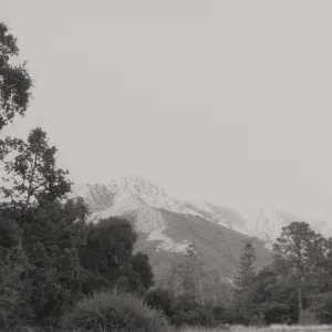 SBBG view of Arlington Peak