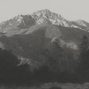 Arlington Peak from SBBG Meadow