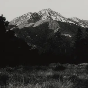 La Cumbre Peak viewed from SBBG Meadow