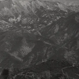 Chaparral, San Rafael Mountains