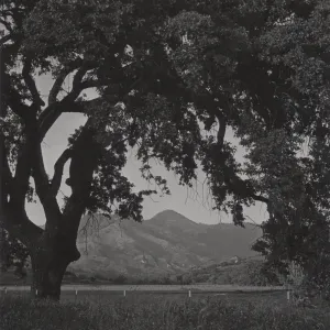 view of Zaca Peak and Figueroa Mountain from floor of Santa Ynez Valley