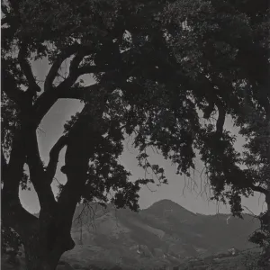 view of Zaca Peak and Figueroa Mountain from floor of Santa Ynez Valley