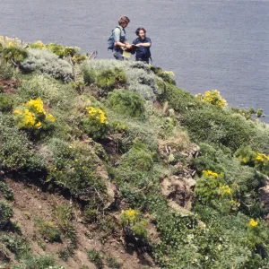 Steve Junak and Ralph Philbrick on West Anacapa Island
