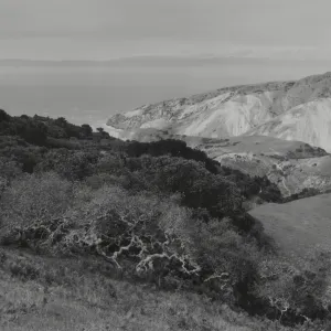 Santa Cruz Island, © William Dewey