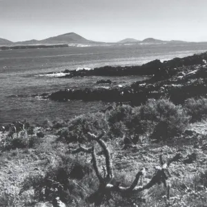 Isla San Martin, Baja, © Steve Junak
