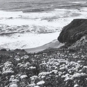 Mendocino Coast, © J.R. Haller