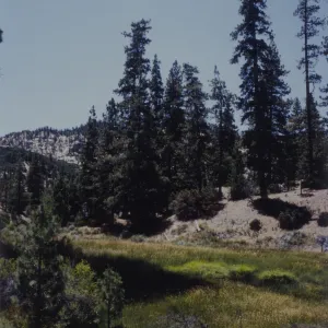 after the Marre Fire