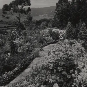 Hope Ranch garden and view