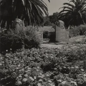Los Arboles, residence of Mrs. John W. Stewart, Hope Ranch, California; © Josef Muench