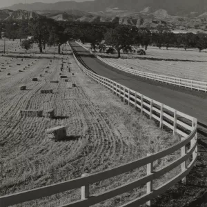 harvest time in the Santa Ynez Valley, © Josef Muench