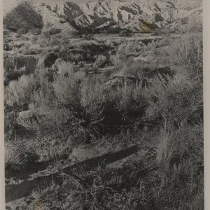 Quatal Canyon, Cuyama