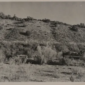 Cox Flat, Santa Barbara Canyon