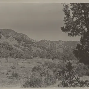 Santa Barbara Canyon?