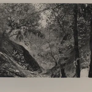 Upper San Antonio Creek, after Coyote Fire
