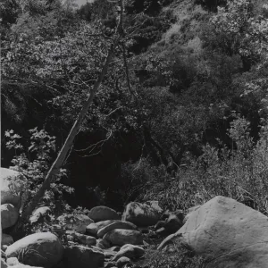 West Fork Santa Cruz Creek, near confluence of Coche Creek