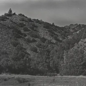 Santa Barbara Canyon?